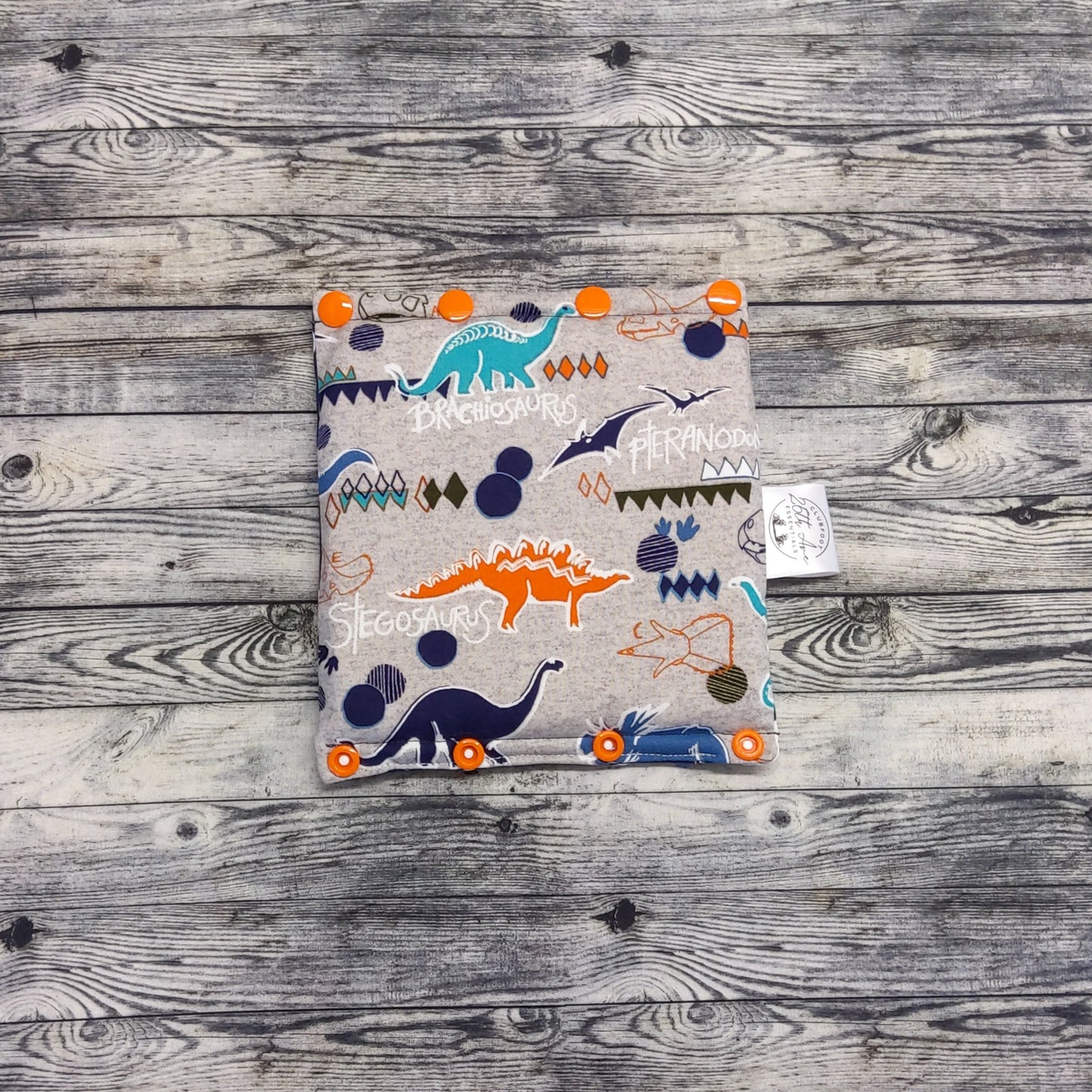 6" Dinos & Dots