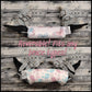 6" Pink Blue Butterflies & Birds